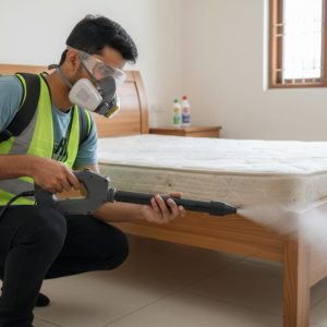 WhatsApp Image 2025-10-08 at 4.16.58 PM (2)